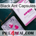 Black Ant Capsules 32